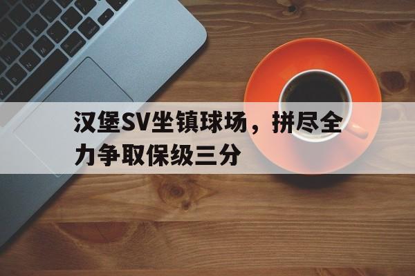 汉堡SV坐镇球场，拼尽全力争取保级三分