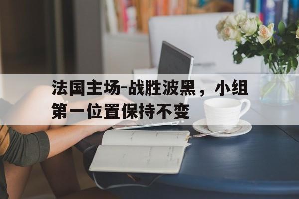 法国主场-战胜波黑，小组第一位置保持不变